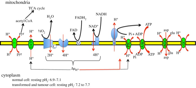 Figure 2.