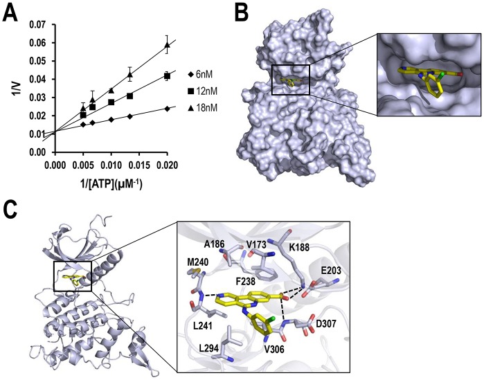 Fig. 2.