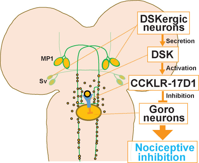 Figure 10.