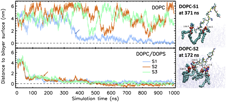 Figure 5