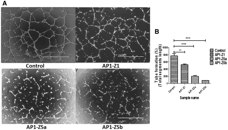 Figure 4