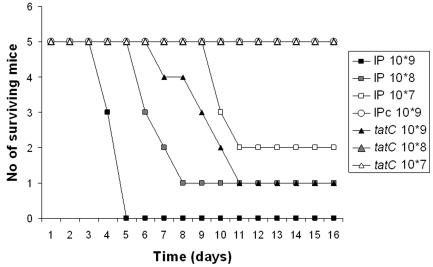 FIG. 5.