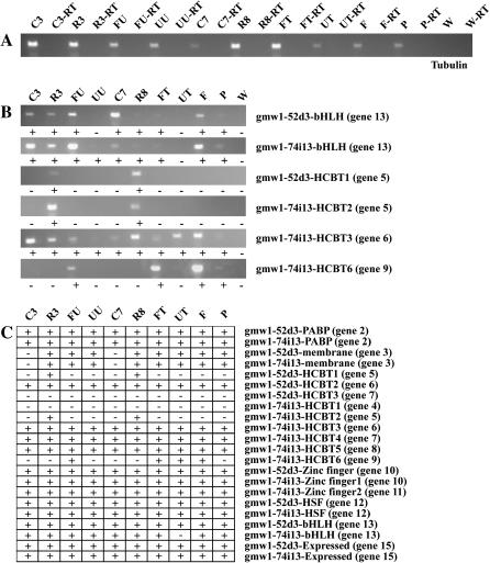 Figure 4.—