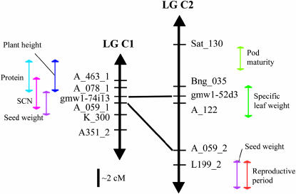 Figure 1.—