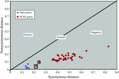 Figure 3.—