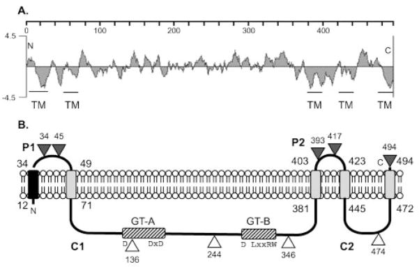 Fig. 1