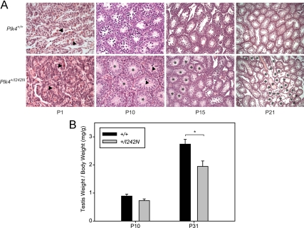 Fig. 6.