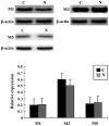 Figure 10.