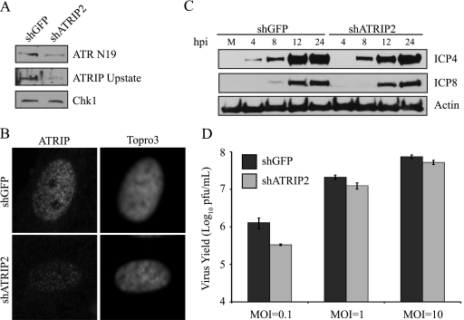 FIG. 9.