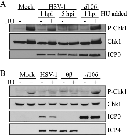 FIG. 11.