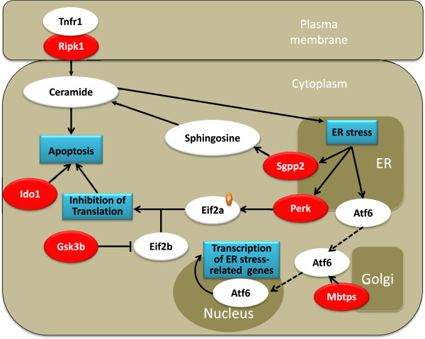 Figure 6