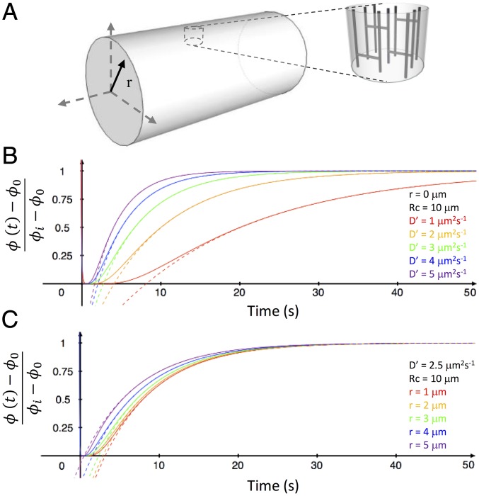 Fig. 2.