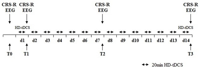 FIGURE 1