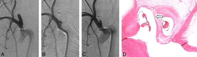 Fig 3.