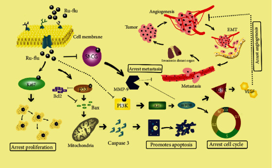 Figure 15