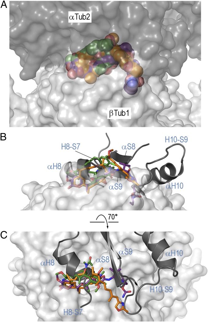 Fig. 3.