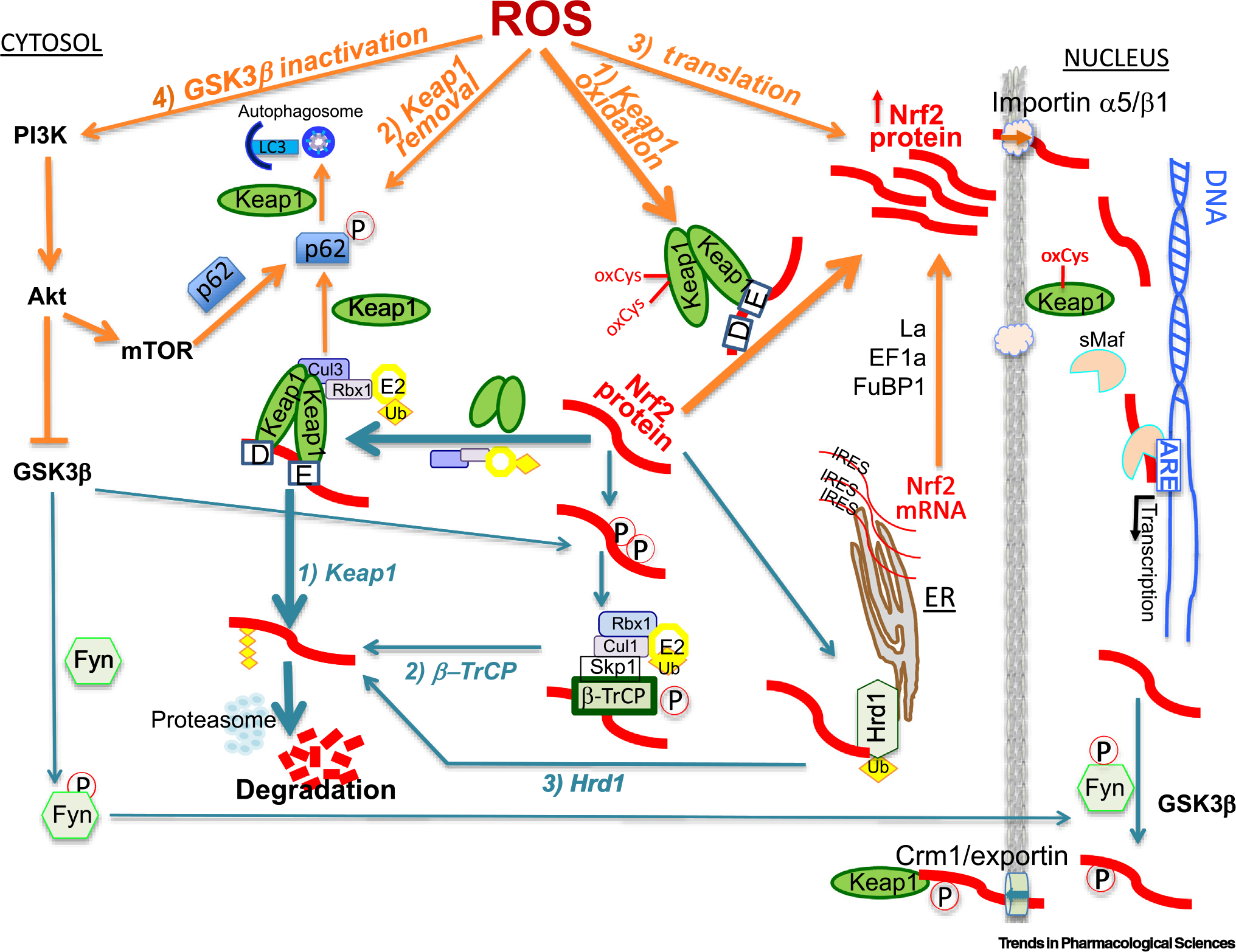 Figure 2.