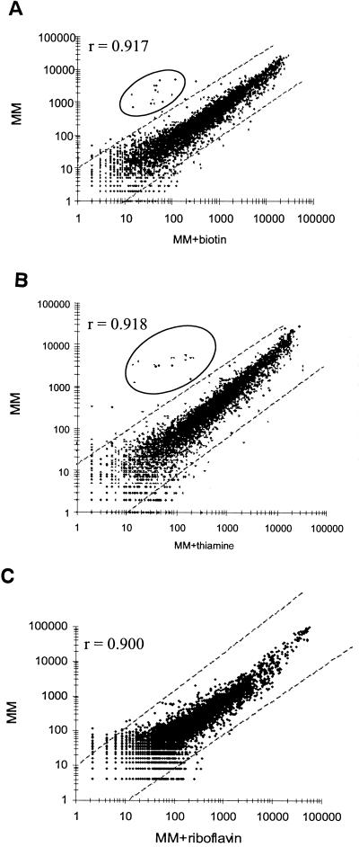 FIG. 3