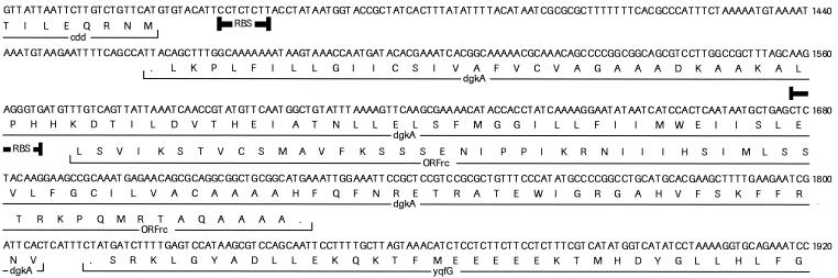 FIG. 7