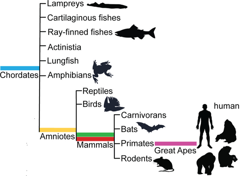 Figure 6.