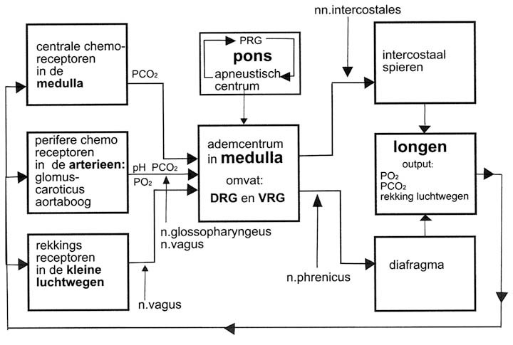 graphic file with name 978-90-313-9630-6_3_Fig20_HTML.jpg