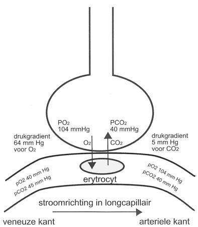 graphic file with name 978-90-313-9630-6_3_Fig14_HTML.jpg
