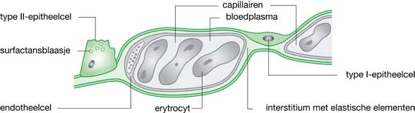 graphic file with name 978-90-313-9630-6_3_Fig13_HTML.jpg