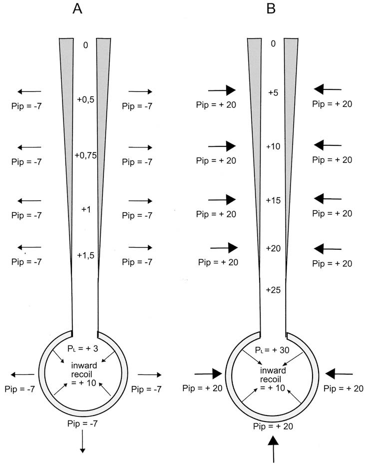 graphic file with name 978-90-313-9630-6_3_Fig10_HTML.jpg