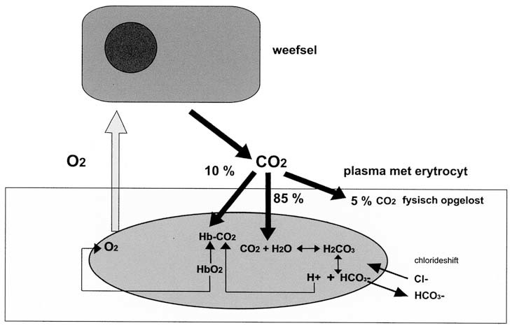 graphic file with name 978-90-313-9630-6_3_Fig17_HTML.jpg