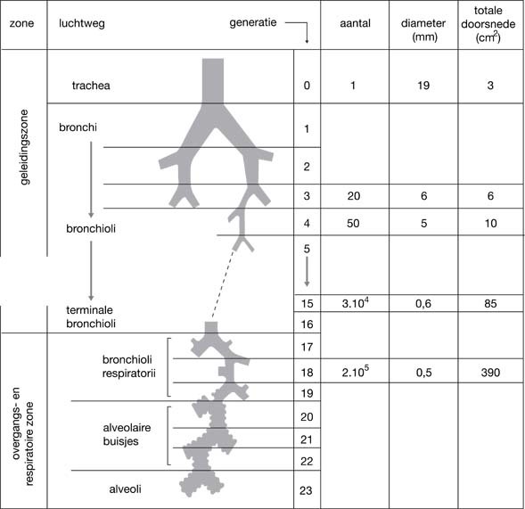 graphic file with name 978-90-313-9630-6_3_Fig2_HTML.jpg