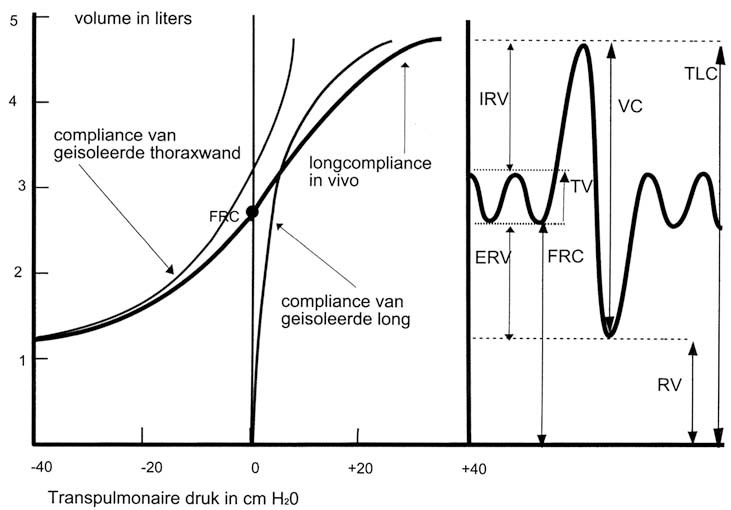graphic file with name 978-90-313-9630-6_3_Fig6_HTML.jpg