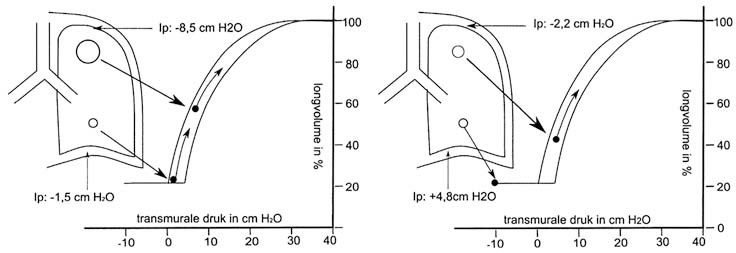 graphic file with name 978-90-313-9630-6_3_Fig8_HTML.jpg