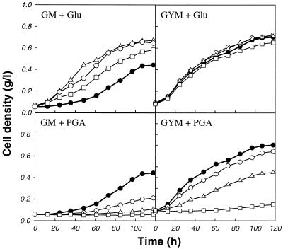 FIG. 1