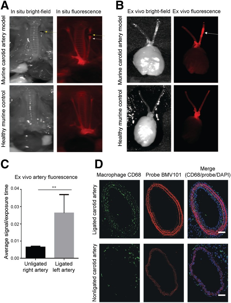 FIGURE 4.