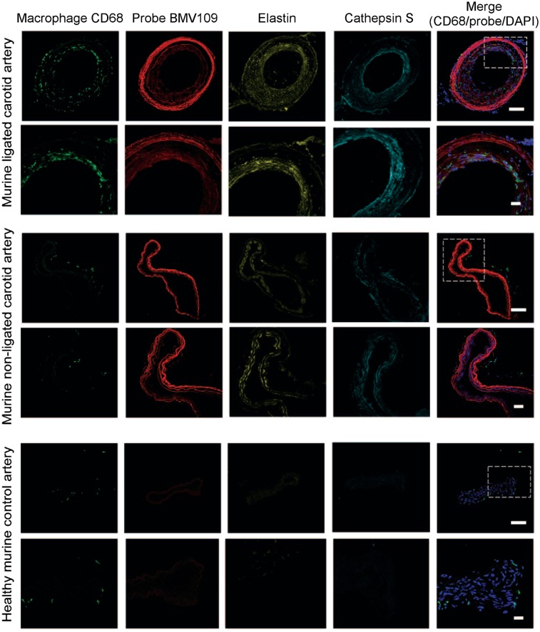 FIGURE 2.