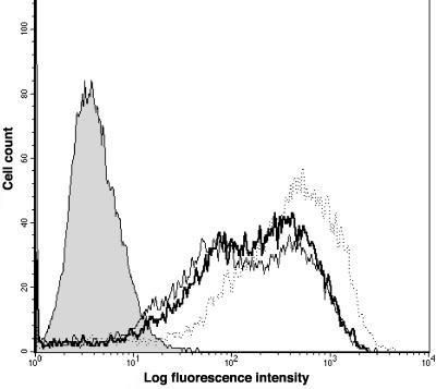 FIG. 7.