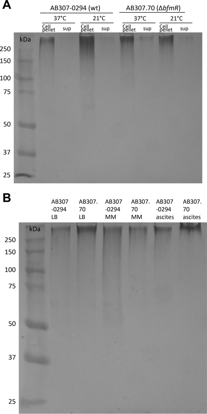 FIG 2 