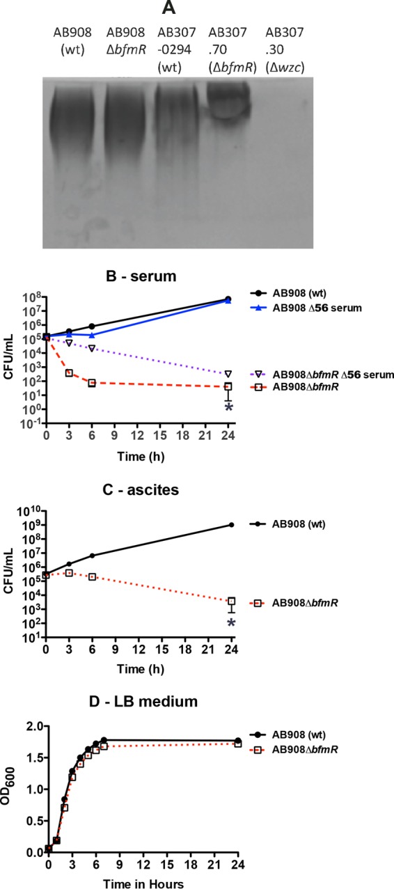 FIG 4 