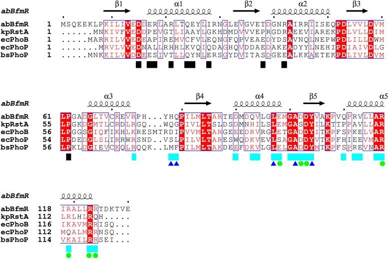 FIG 6 