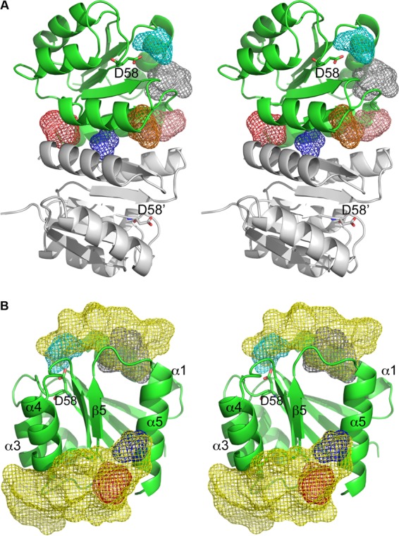 FIG 8 