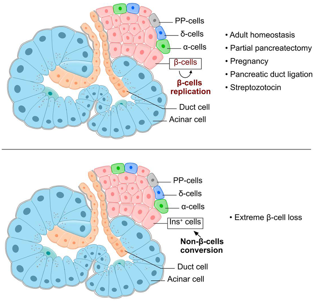 Fig. 8 |