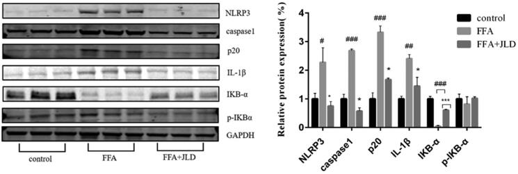 Figure 5.