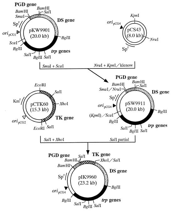 FIG. 5