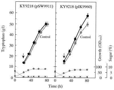 FIG. 6