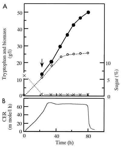 FIG. 1