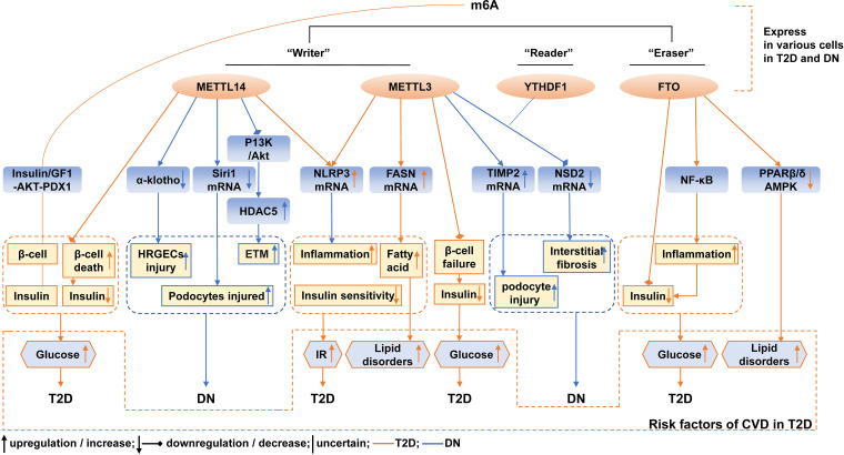 Figure 12