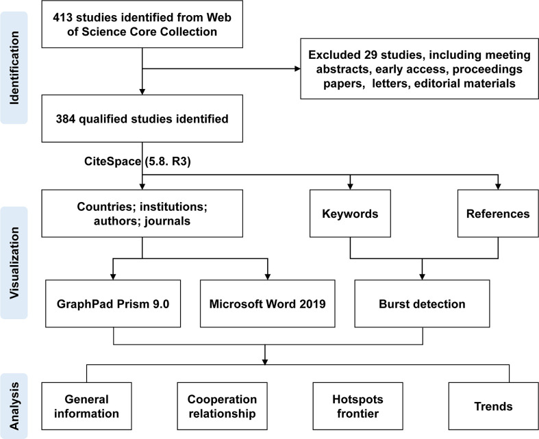 Figure 1