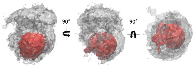 Fig. 11