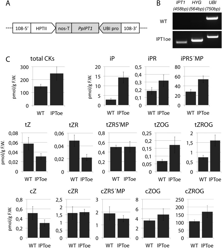 Figure 7—figure supplement 1.