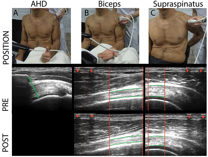 Figure 2: